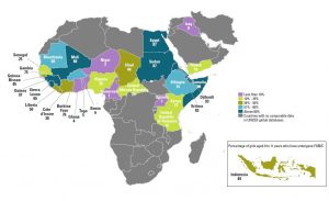 UNICEF map showing prevalence of FGM